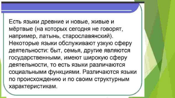 Ареальная и функциональная классификации языков - Image 4