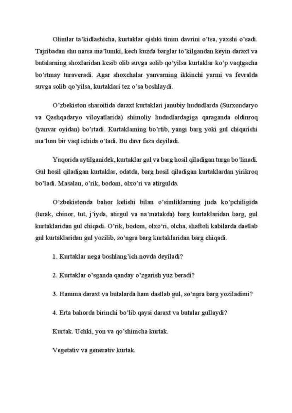 Kurtak - Image 3