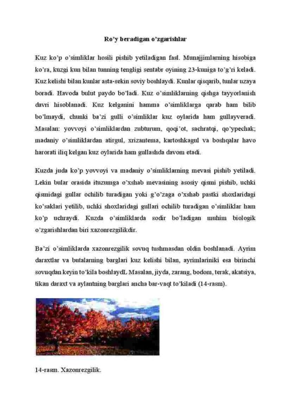 Kuz faslida o'simliklar hayoti - Image 2