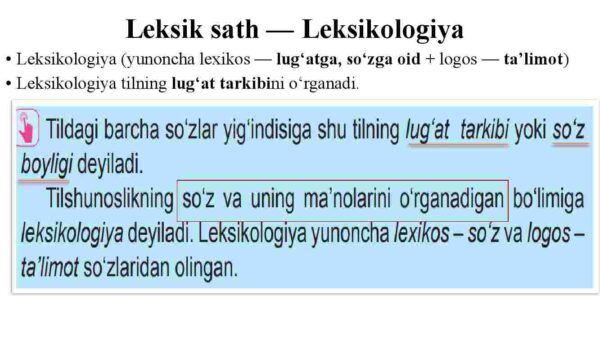 Leksikologiya haqida umumiy ma'lumot. Leksikologiyaning turlari: umumiy, xususiy, qiyosiy, nazariy va amaliy leksikologiya