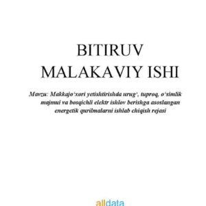 Makkajo'xori yetishtirishda urug', tuproq, o'simlik majmui va bosqichli elektr ishlov berishga asoslangan energetik qurilmalarni ishlab chiqish rejasi