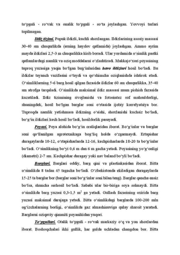 Makkajo'xori biologiyasi - Image 4