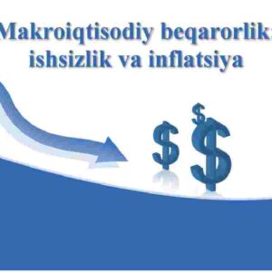 Makroiqtisodiy beqarorlik: ishsizlik va inflatsiya 
