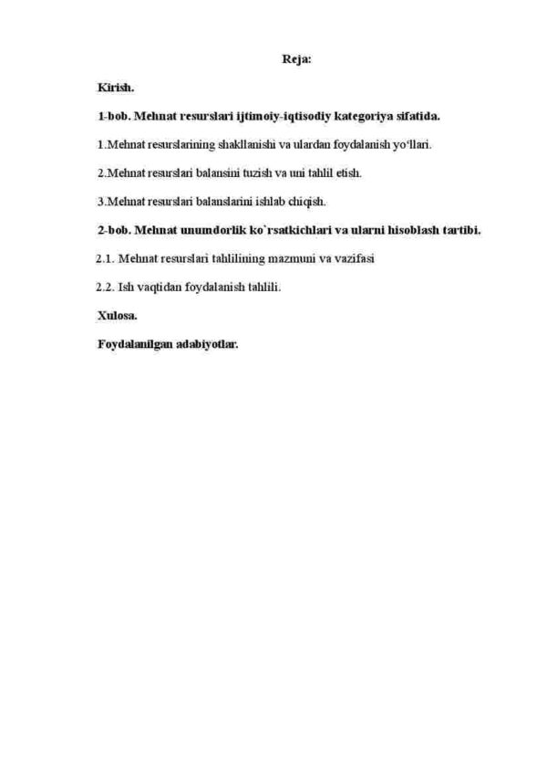 Mehnat bozori va korxonalarda mehnat resurslaridan foydalanish - Image 2
