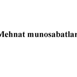 Mehnat munosabatlari