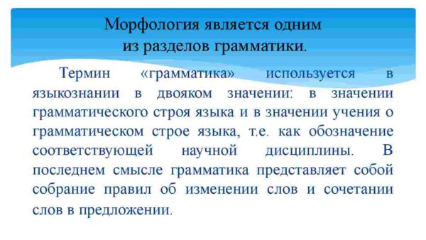 Морфология как наука - Image 2