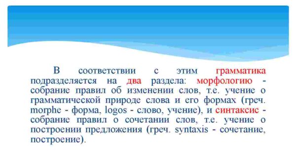 Морфология как наука - Image 3