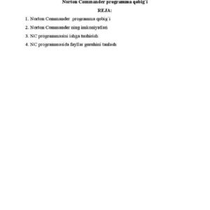 Norton Commander programma qobig'i