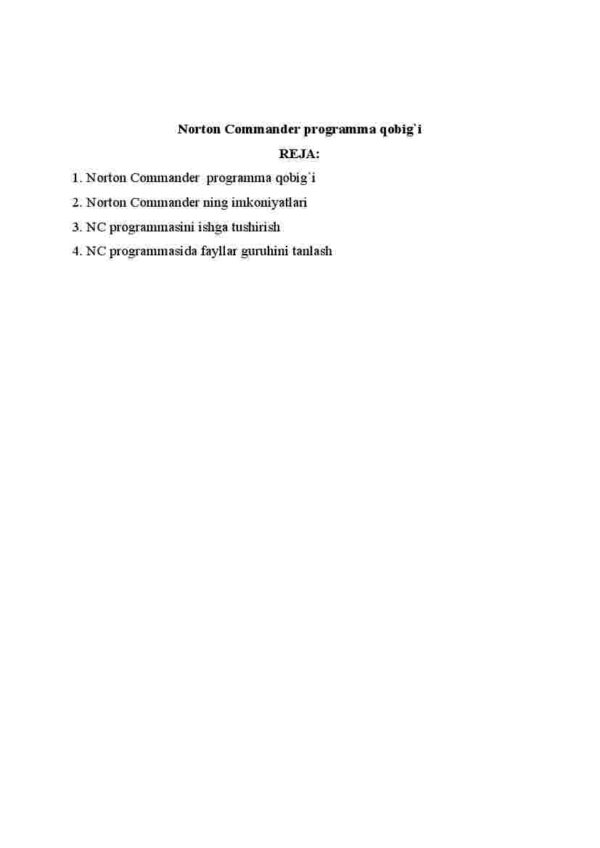 Norton Commander programma qobig'i