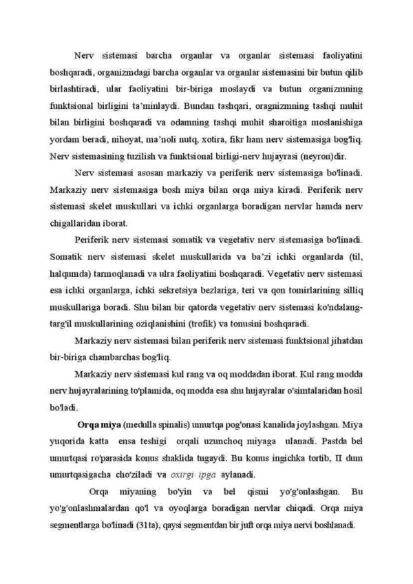 Nerv sistemasi, markaziy va periferik nerv sistemasi. Bosh miya va orqa miyadan tarqalgan nervlar, soni, vazifalari - Image 2