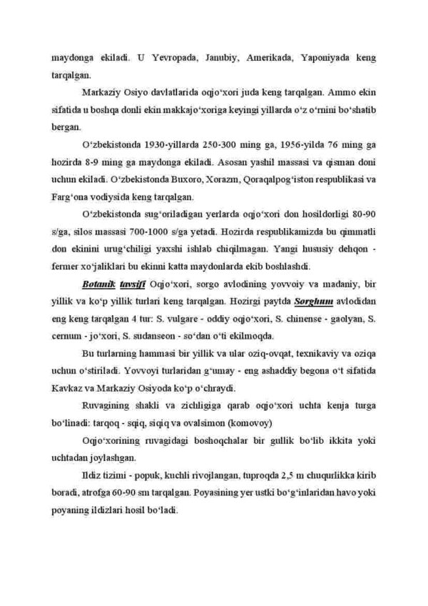 Oqjo'xori, tariq - Image 3