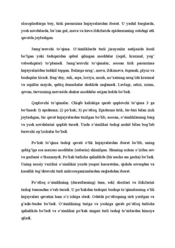 O'simlik to'qimalari - Image 3