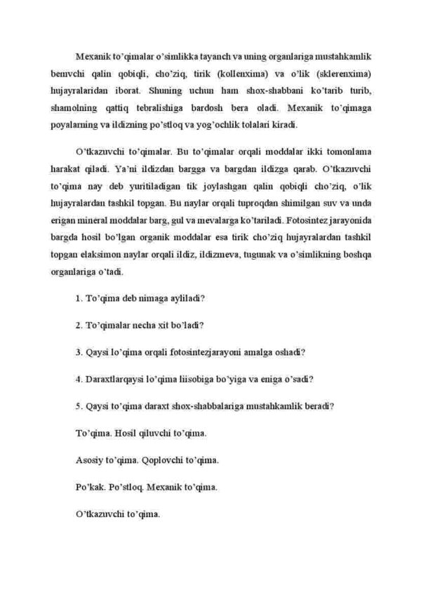 O'simlik to'qimalari - Image 4