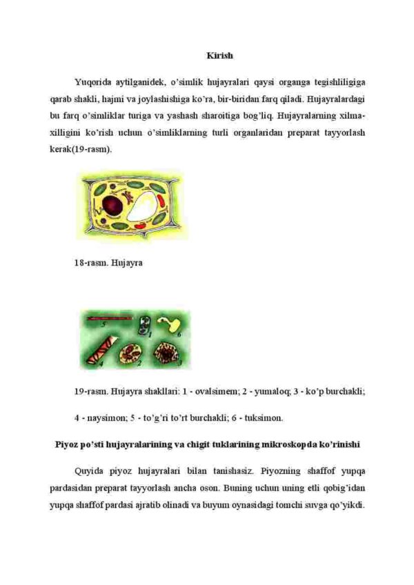 O'simliklar hujayrasining xilma-xilligi - Image 2