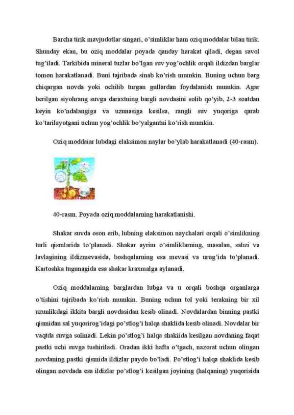 Poyada oziq moddalarning harakatlanishi - Image 2