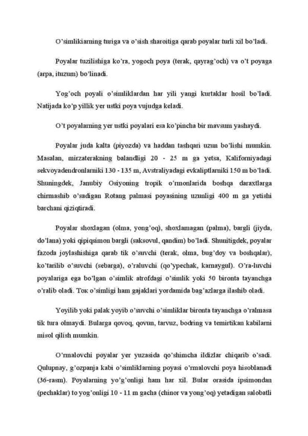 Poyalarning xilma-xilligi - Image 2