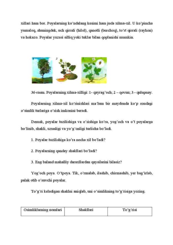 Poyalarning xilma-xilligi - Image 3