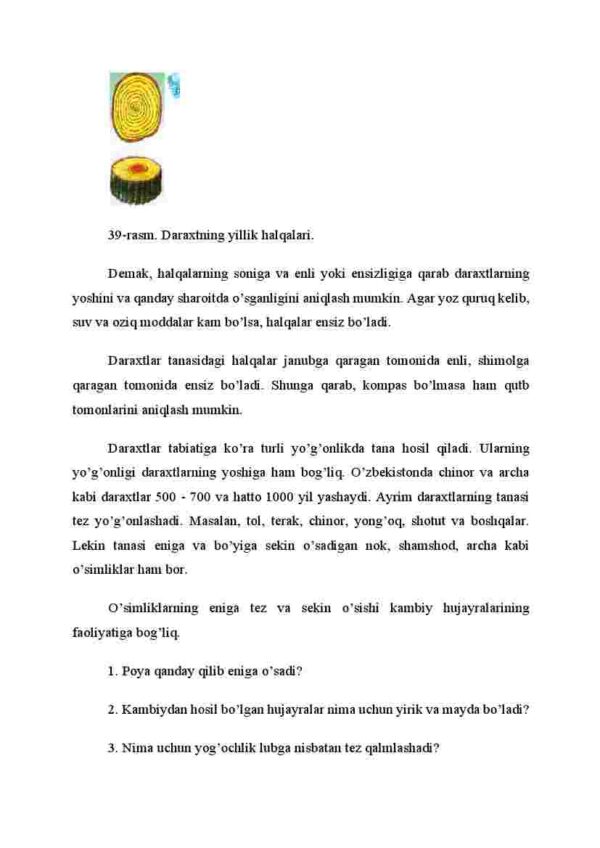 Poyaning eniga o'sishi - Image 3