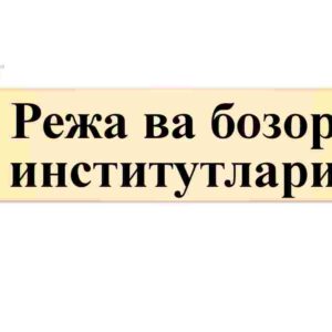 Reja va bozor institutlari
