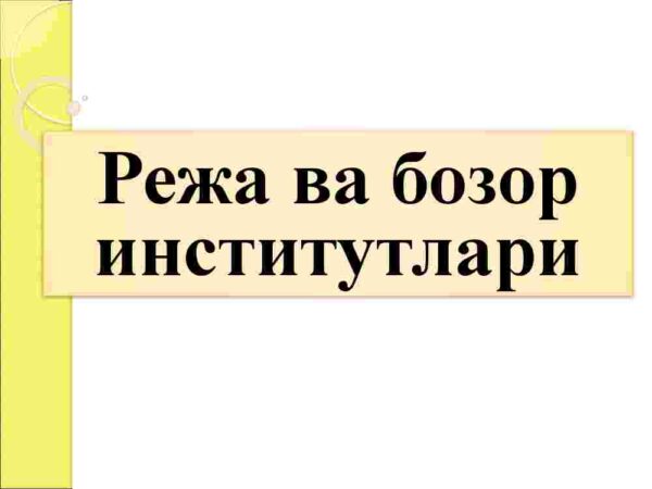 Reja va bozor institutlari