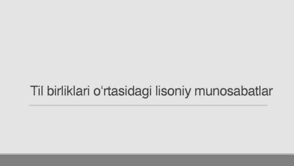 Til birliklari o'rtasidagi lisoniy munosabatlar