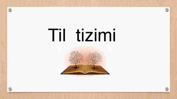 Til birliklarining tizim sifatidagi munosabati - Image 3