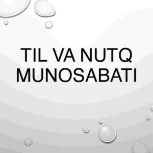 Til va nutq munosabati