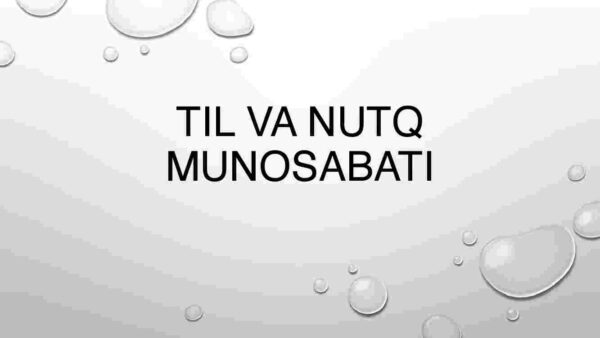 Til va nutq munosabati