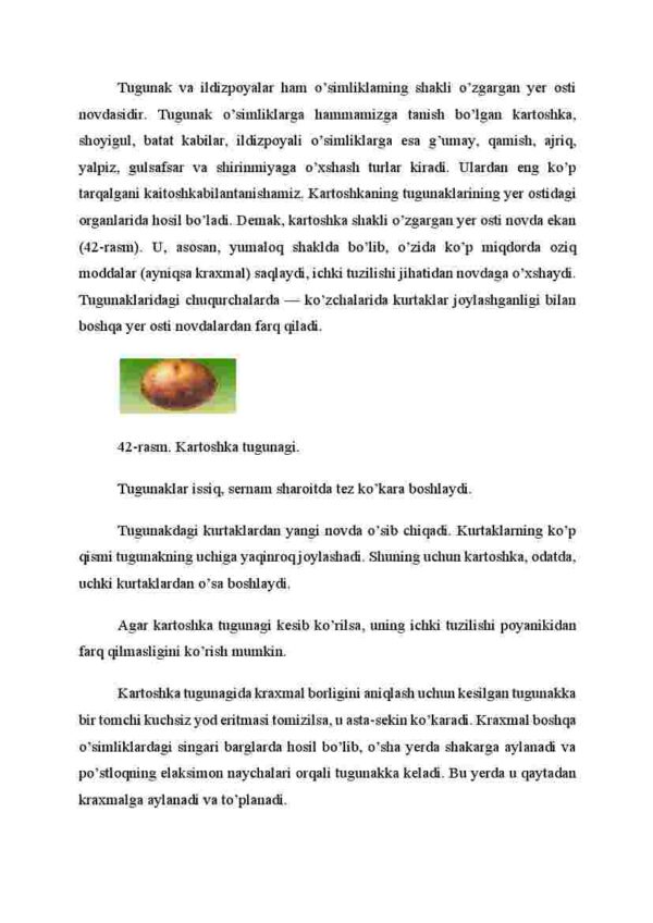 Tugunak va ildizpoyalar - Image 2