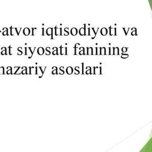 Xulq-atvor iqtisodiyoti va davlat siyosati fanining nazariy asoslari