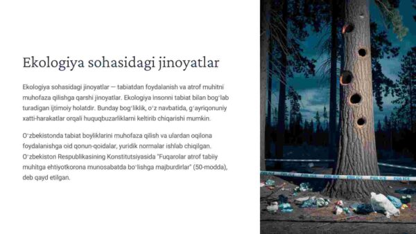 Ekologiya sohasidagi jinoyatlar