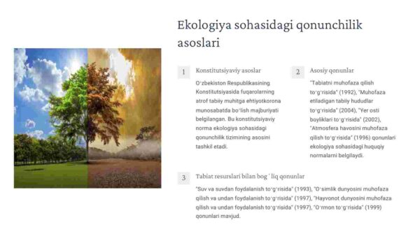 Ekologiya sohasidagi jinoyatlar - Image 3