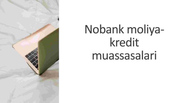 Nobank moliya-kredit muassasalari