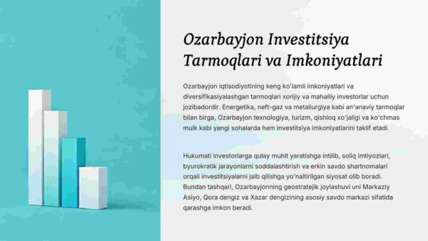 Ozarbayjon davlatining investatsiya tahlili - Image 4