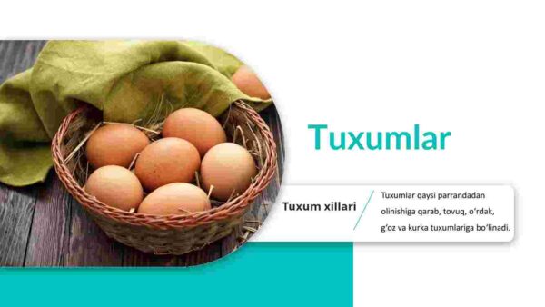 Tuxumlar - Image 2