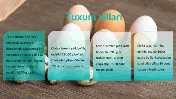 Tuxumlar - Image 3
