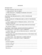 Structural and semantic peculiarities_002