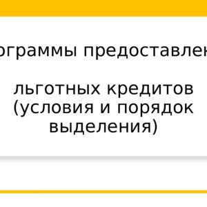 Программы предоставления льготных кредитов(условия и порядок выделения)