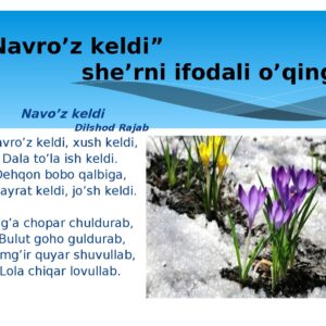 Navro'z keldi sheri