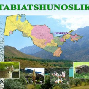 76 бет 4 sinf tabiat Ozbekiston tabiiy boyliklari 2 2
