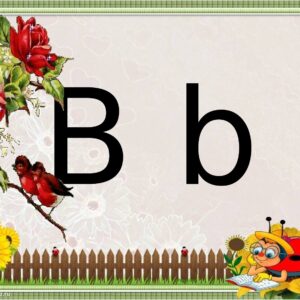 B b tovushi