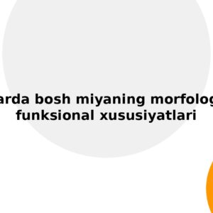 Bolalarda bosh miyaning morfologik va funksional xususiyatlari