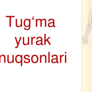 Tugma yurak nuqsonlari