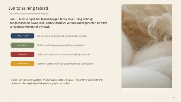 Page 3 Preview