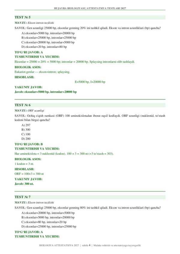 Page 4 Preview