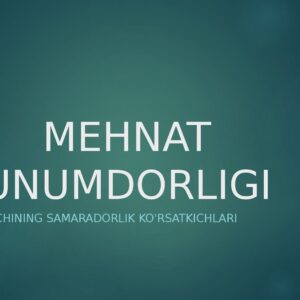 MEHNAT UNUMDORLIGI Ishchi kuchining samaradorlik ko'rsatkichlari
